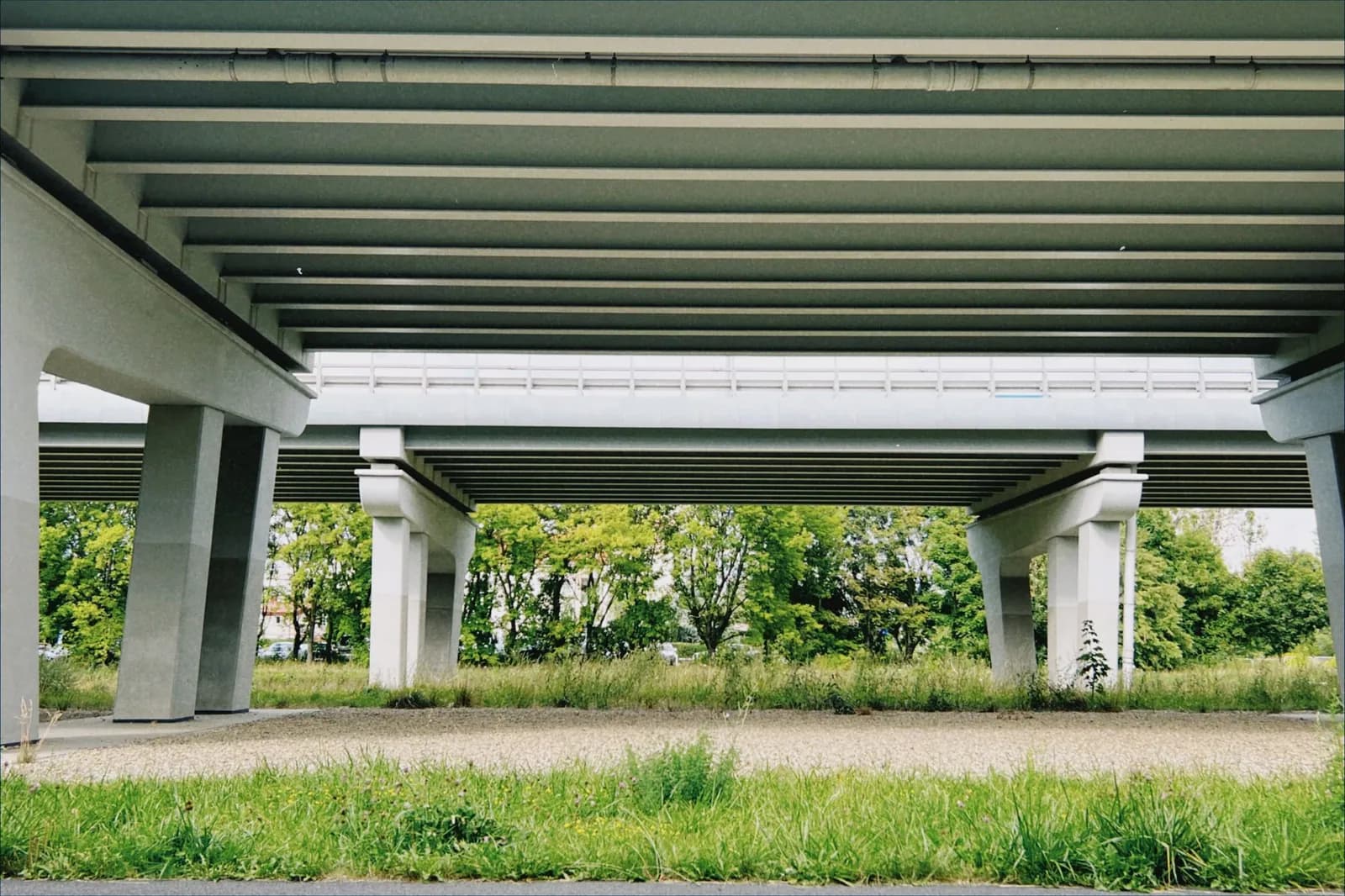 Blick unter eine Straßenbrücke aus Beton mit Pfeilern, Rasen und Bäumen